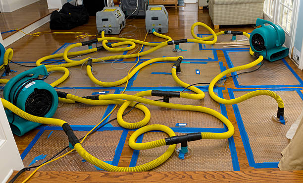 Professional Crawl Space Water Removal technician working in Fairfield, AL